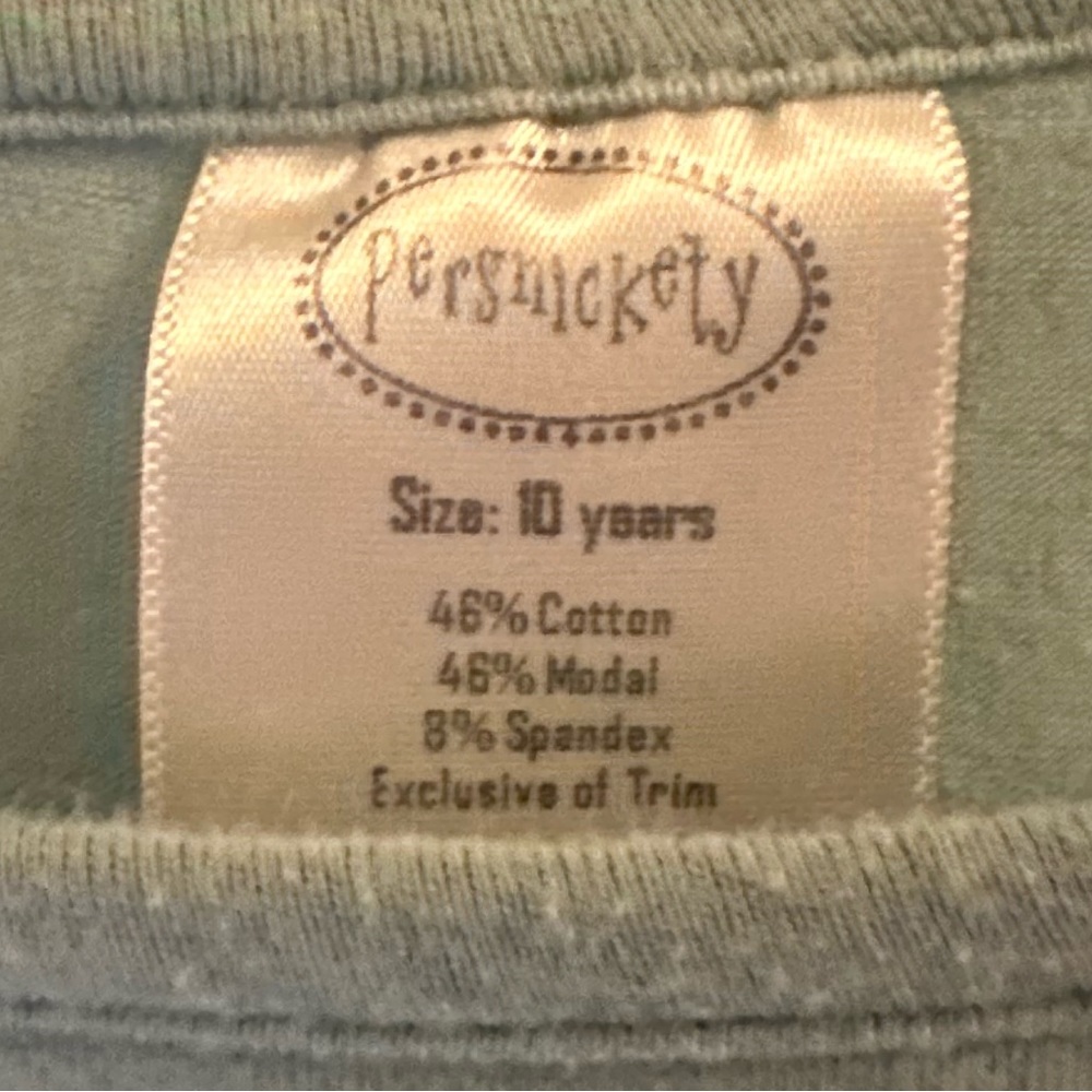 Adorable Persnickety outfit blouse and skirt size 10